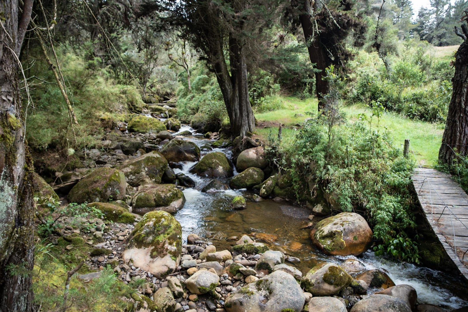 Video de El Delirio, nuevo sendero de Bogotá, se inaugurará en 2022