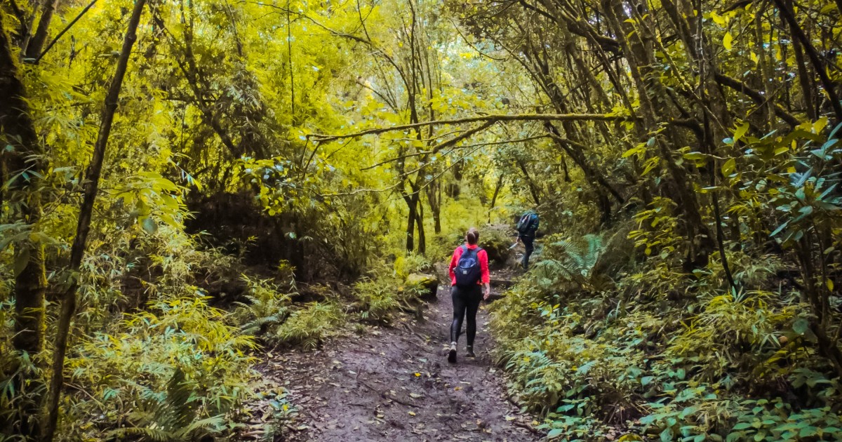 Cronograma de caminatas para los senderos de Bogotá en octubre de 2022