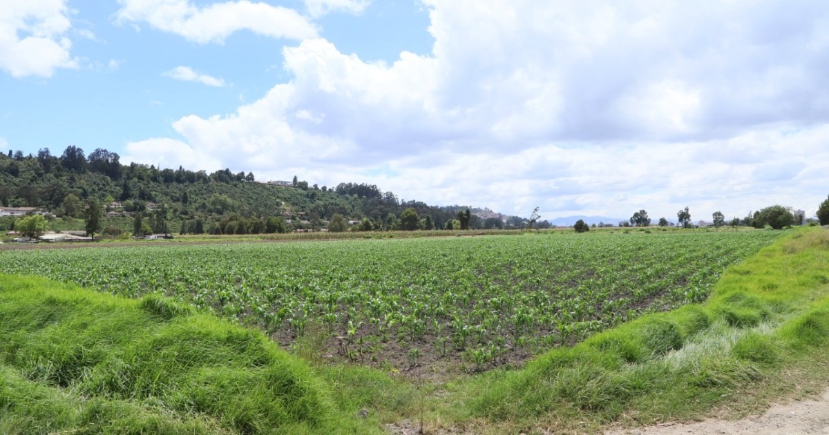 Bogotá firmó 5 acuerdos de conservación en la reserva Van der Hammen