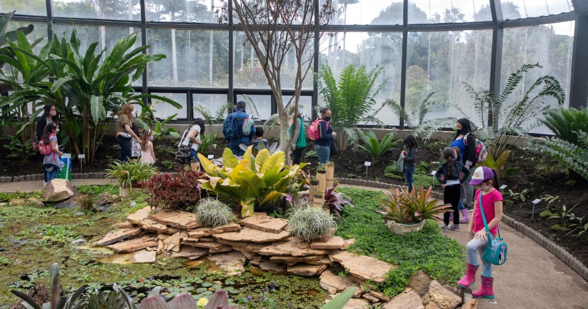 ¡Disfruta de las Vacaciones Científicas en el Jardín Botánico! Aquí más detalles