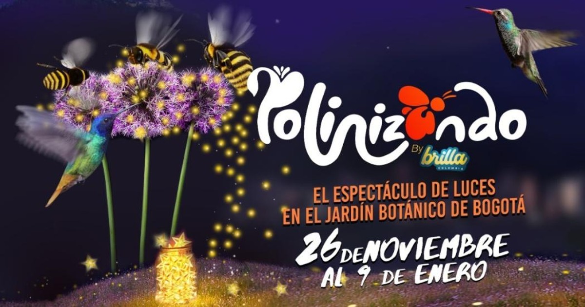 Preguntas y respuestas sobre el show de luces del Jardín Botánico