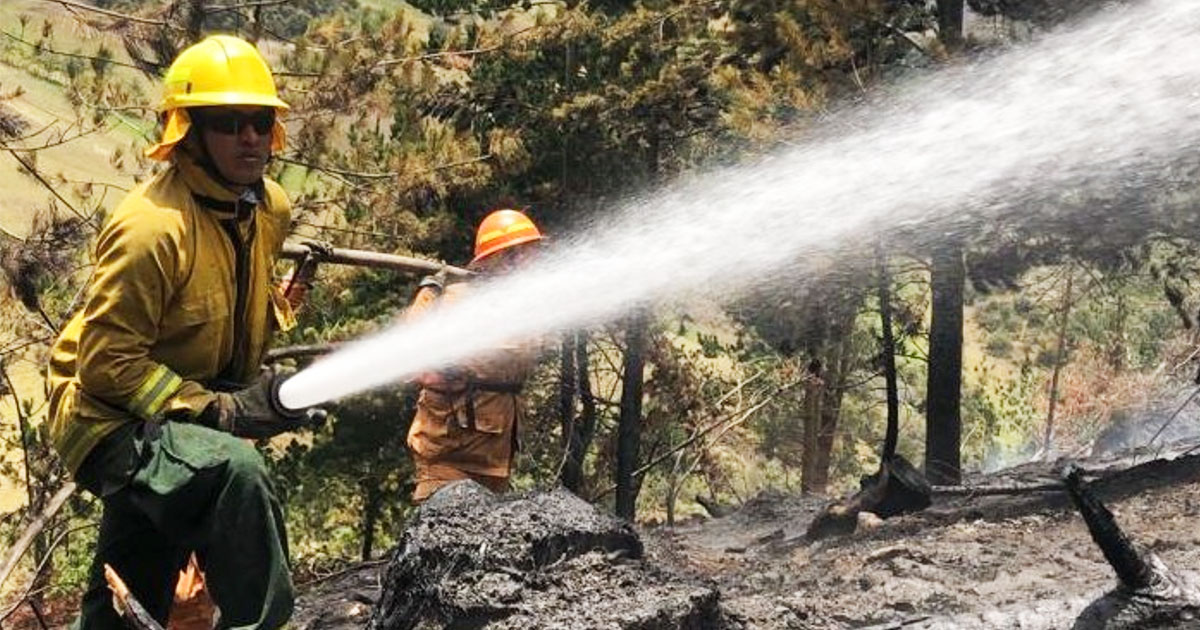 Recomendaciones de Bomberos para evitar incendios forestales 