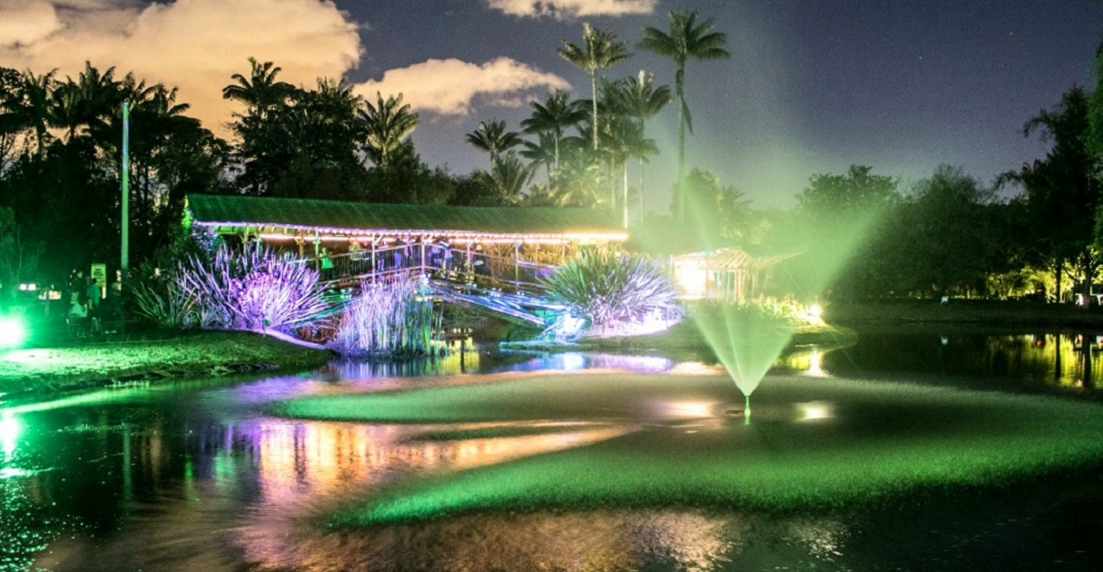 Jardín de Noche en el Jardín Botánico