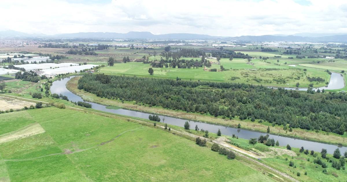 Programación de actividades para celebrar el Día del río Bogotá 2023 