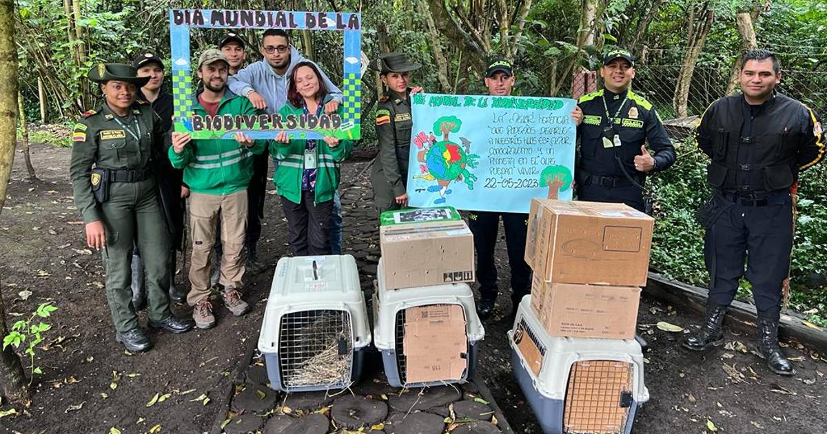 Distrito libera 10 animales silvestres en el humedal La Conejera 2023 