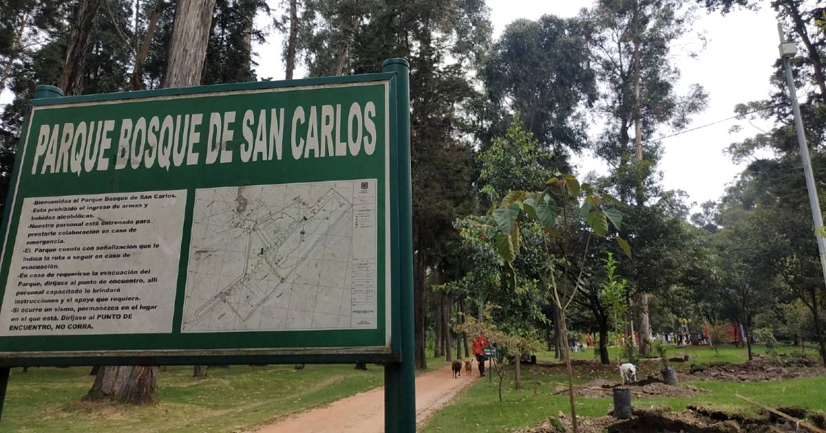 Jardín Botánico avanza con plantación de árboles en Bosque San Carlos