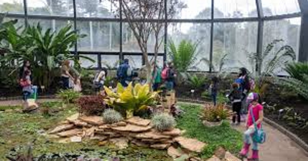 Jardin Botánico en vacaciones