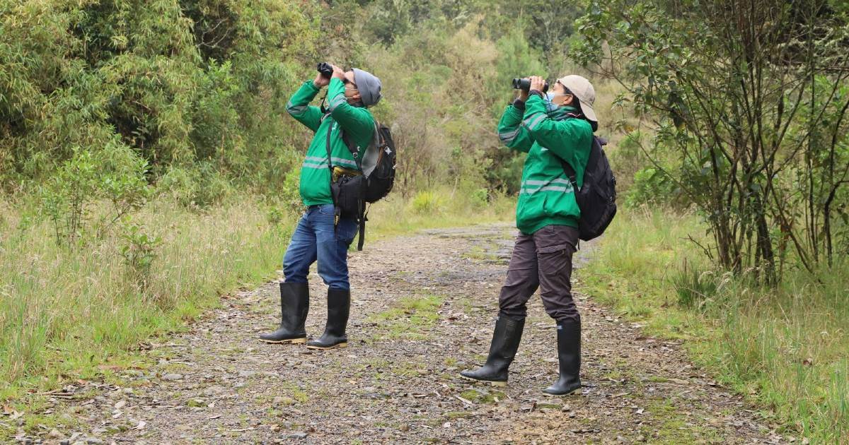 Abiertas inscripciones para jornadas de monitoreo de diversidad Bogotá