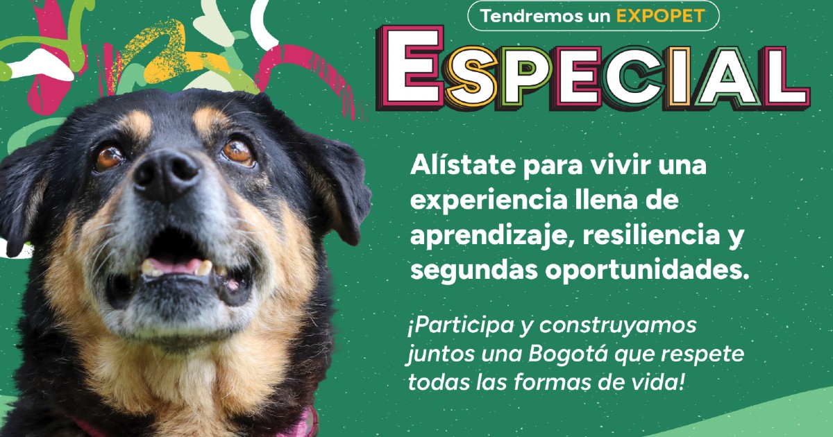 Programación Expopet 2023: jornadas de adopción, desparacitación y más