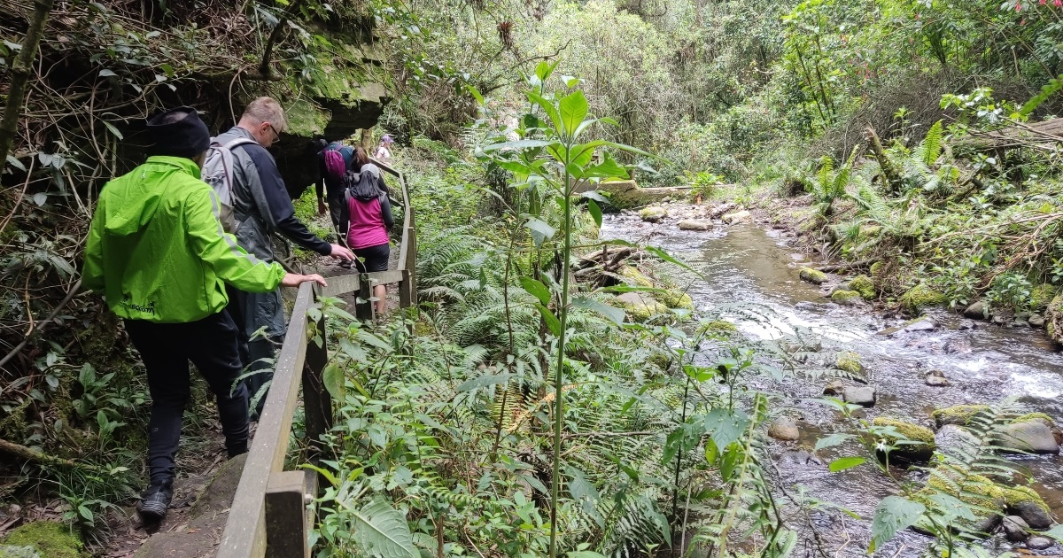 Caminos que puedes visitar en Bogotá por los cerros orientales 