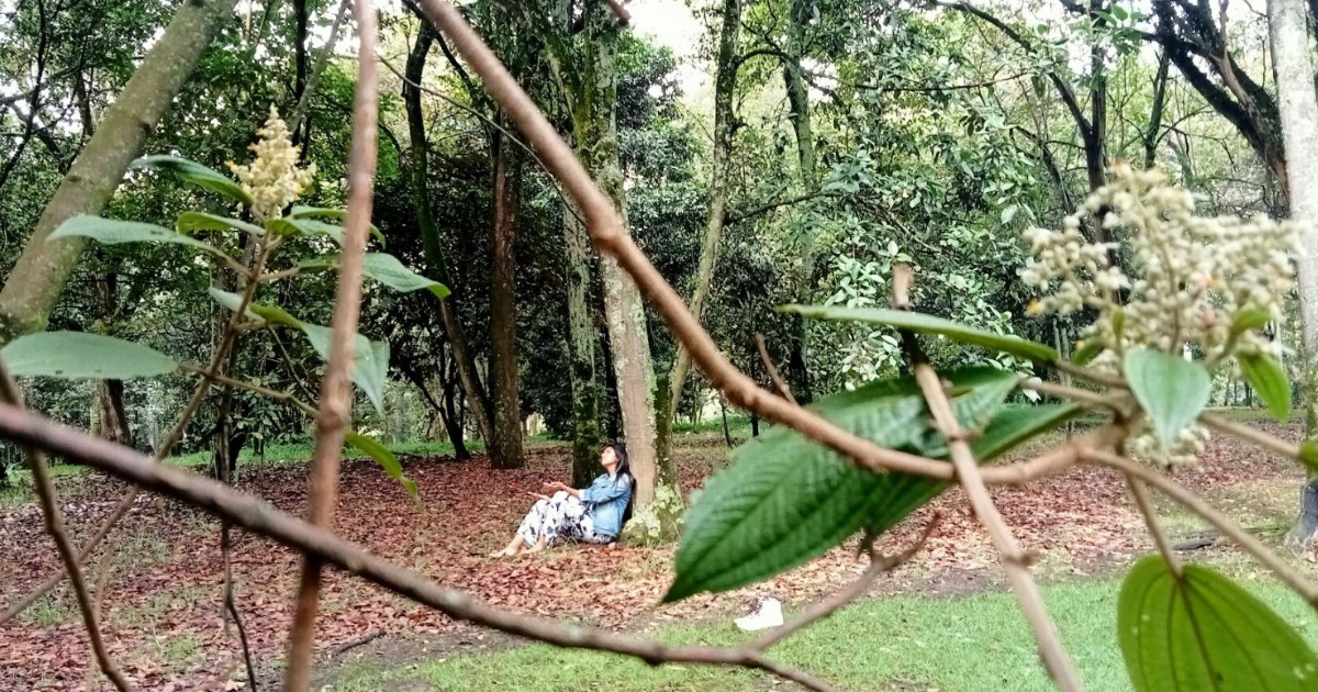 Mujer en el Jardín Botánico