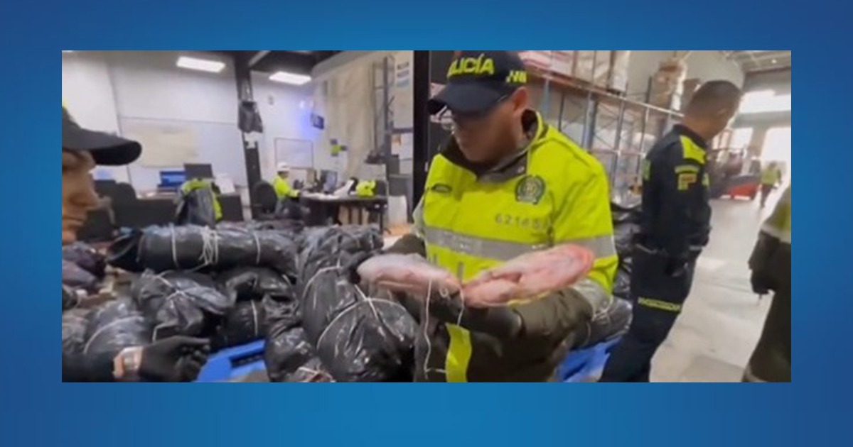 Incautados 433 kilogramos de pescado 'Mota' en bodegas de empresa de encomienda