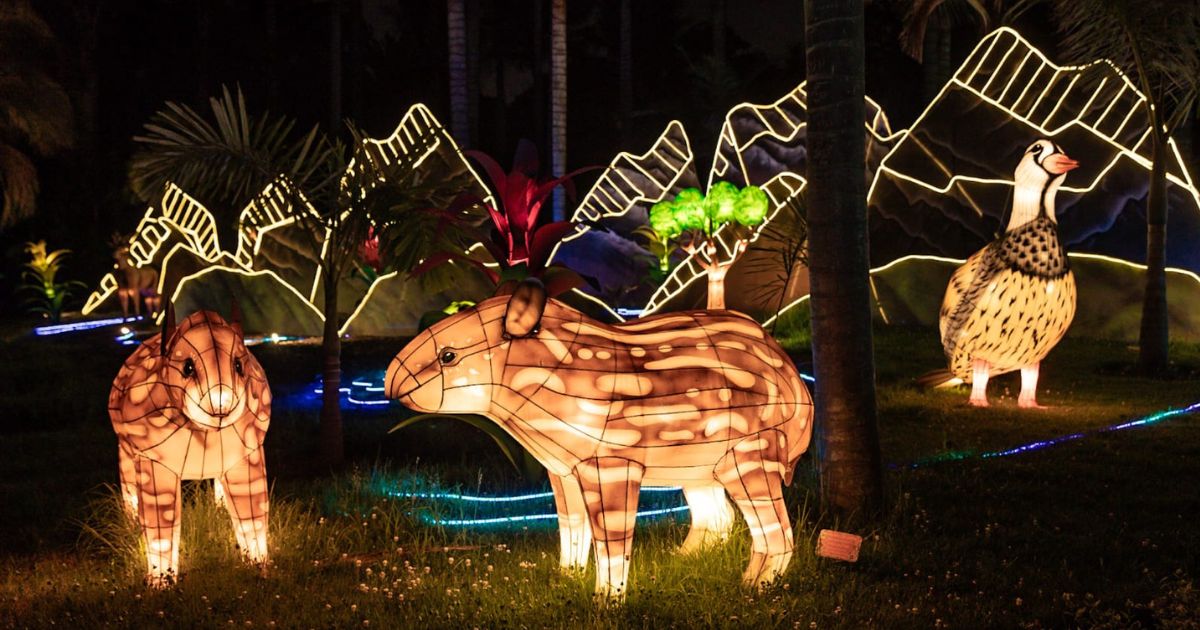 ¡Acompáñanos en MajestuOSOS, el festival de luces del Jardín Botánico