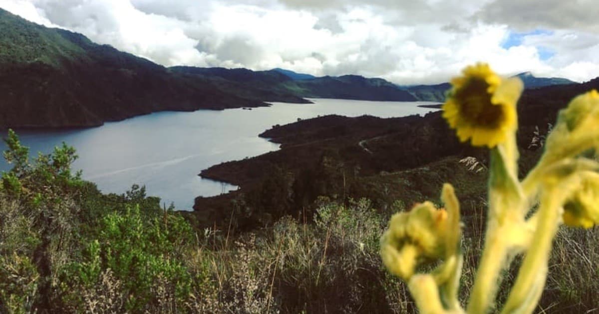 La Secretaría de Ambiente, en conjunto con entidades distritales y organizacione