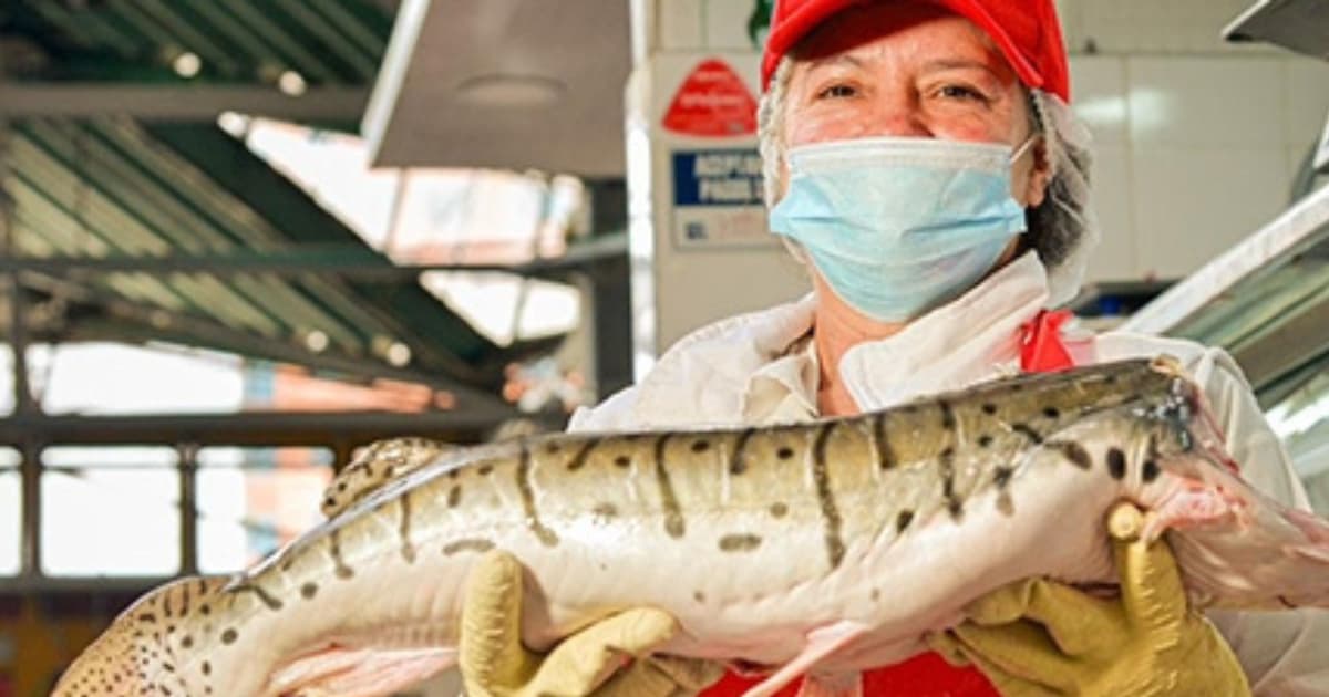 Compra pescado en Semana Santa en las plazas distritales de mercado