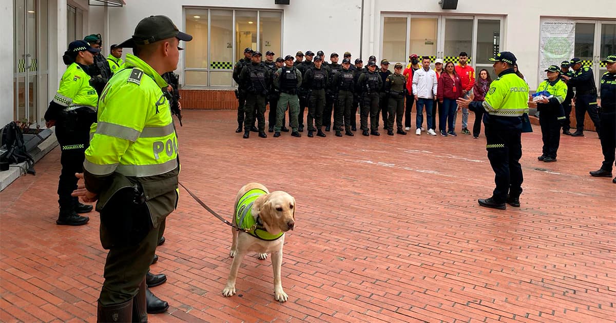 200 dosis por estupefacientes y dos capturas en megatoma en Santa Fe 