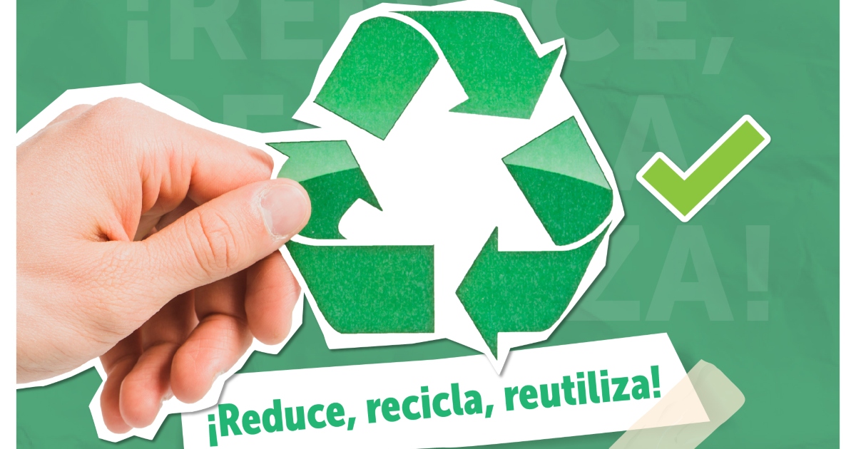 Día Mundial del Reciclaje: recomendaciones para separar residuos