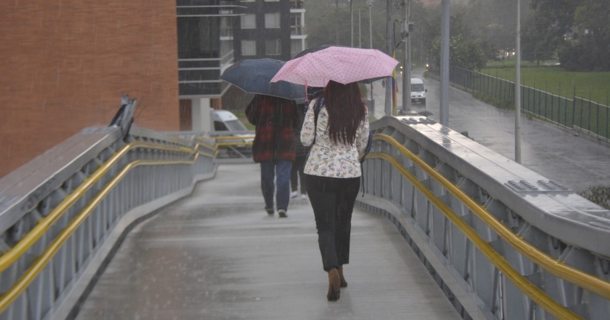 Top 5 de recomendaciones para hacer uso del agua lluvia en el hogar