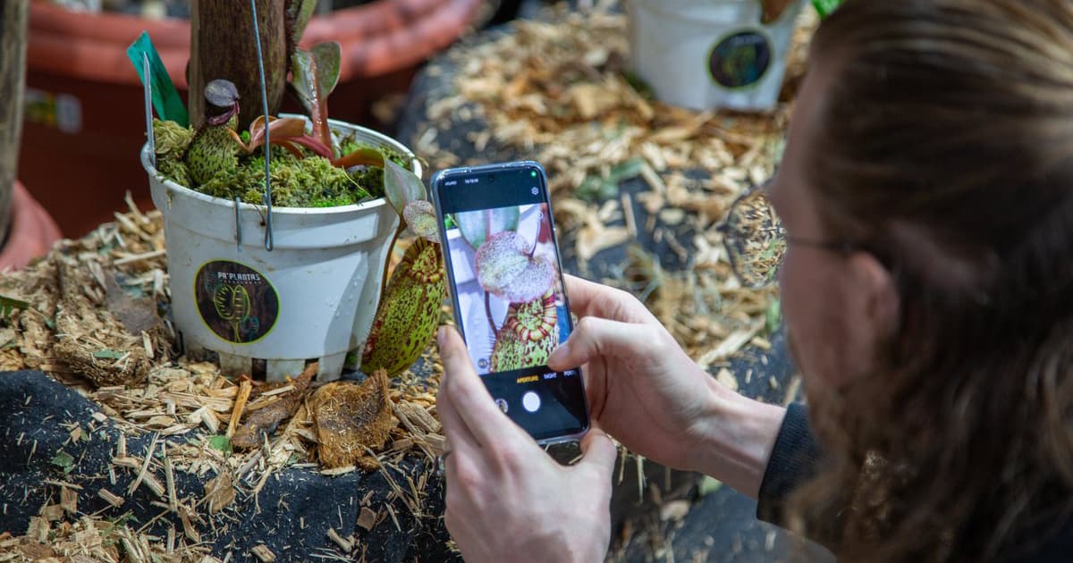 No te quedes sin apreciar la exposición de plantas carnívoras ¡Déjate atrapar!