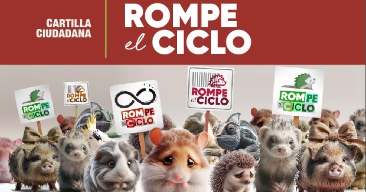 Rompe el Ciclo, campaña tenencia de mascotas no convencionales Bogotá