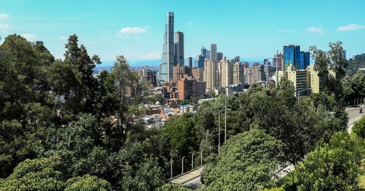 Cómo reportar un árbol a punto de caer o en mal estado en Bogotá