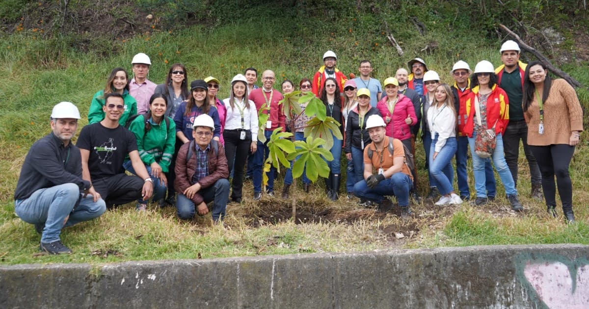 Plantación de árboles en Bogotá: carrera Séptima con calle 94 