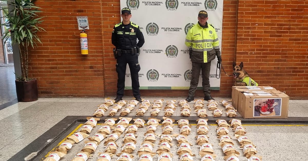 Video: Incautados 30 kilos de droga en fruta deshidratada en Bogotá