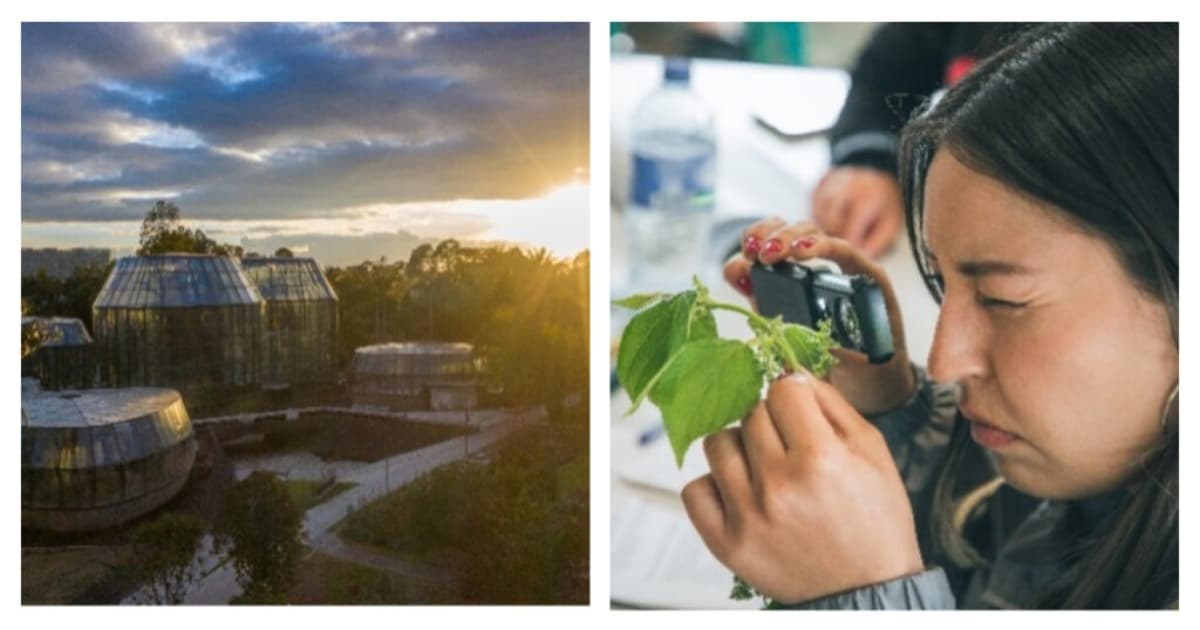 Cumpleaños de Bogotá: Jardín Botánico celebra 69 años de existencia 