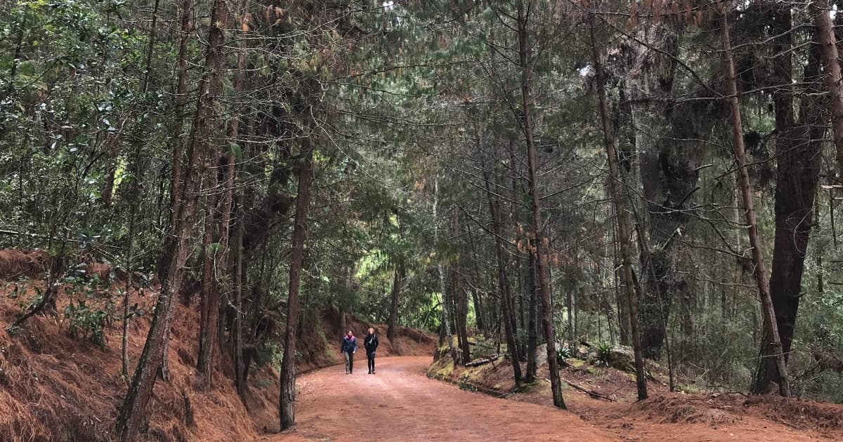 Cumpleaños de Bogotá: senderos ecológicos para visitar, citas y agenda