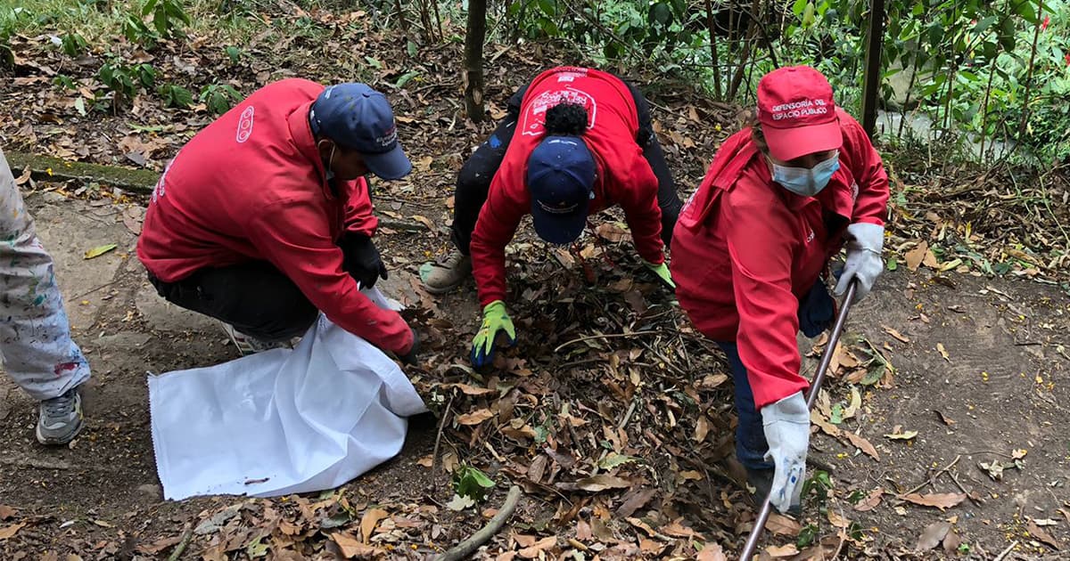 Video: Así se vivió la Primera Jornada de Amor por la Quebrada Las Delicias 🍃