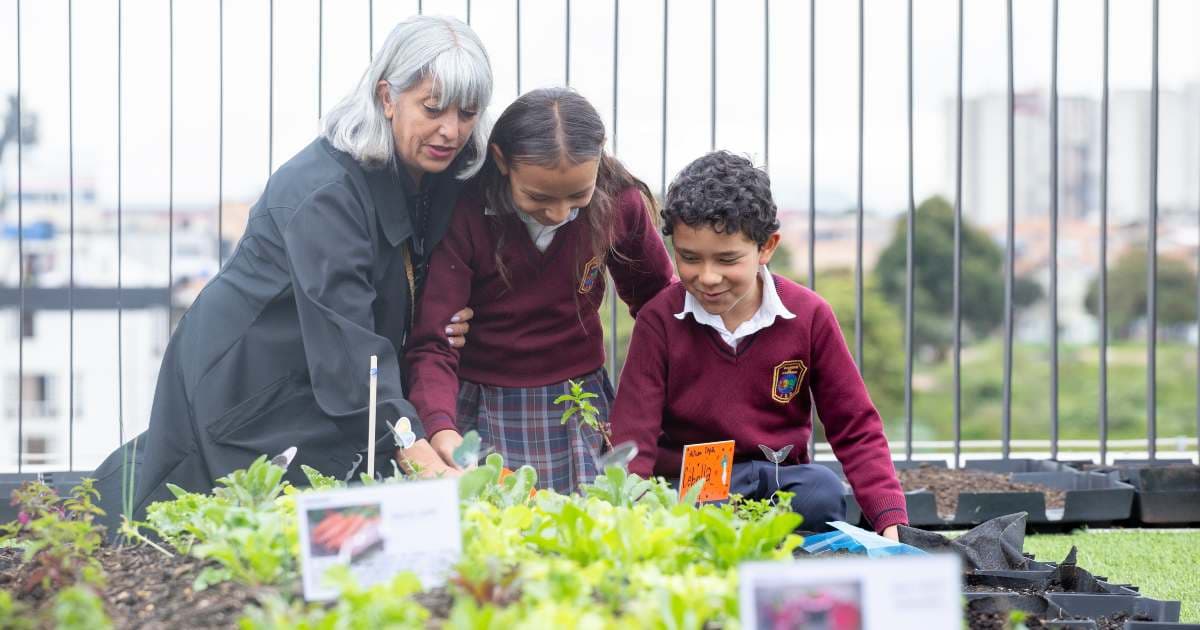 Educación en Bogotá: huertas escolares, escenarios desarrollo integral