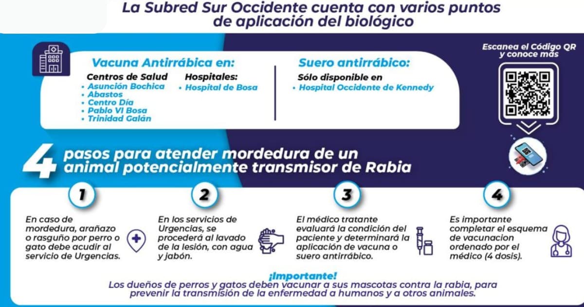 Qué hacer ante lesiones producidas por perros o gatos en Bogotá 