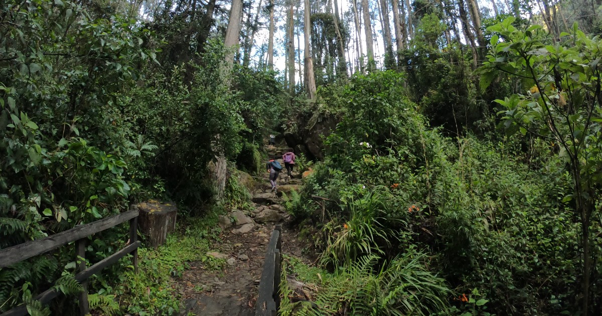 Senderos ecológicos de Bogotá se encuentran cerrados temporalmente