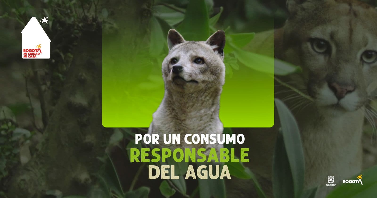 Racionamiento de agua en Bogotá: consumo responsable es indispensable 