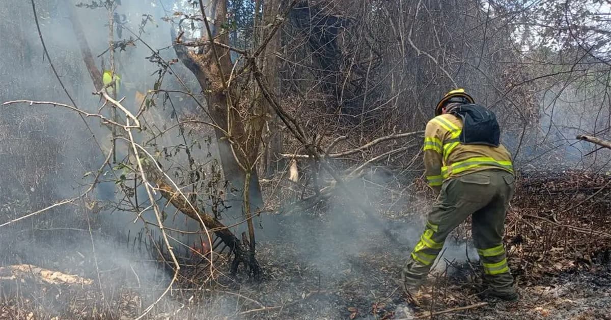 Sigue estas recomendaciones de Bomberos para prevenir incendios forestales