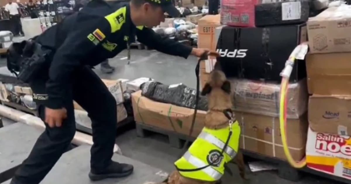 Con la canina ‘Kala’ policía incautó 2.5 kilogramos de base de coca en El Dorado