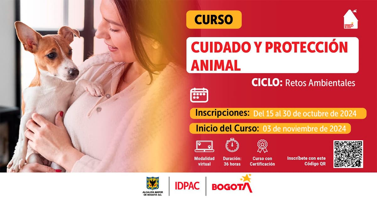 Cursos gratuitos en Bogotá: inscríbete en Escuela de la Participación