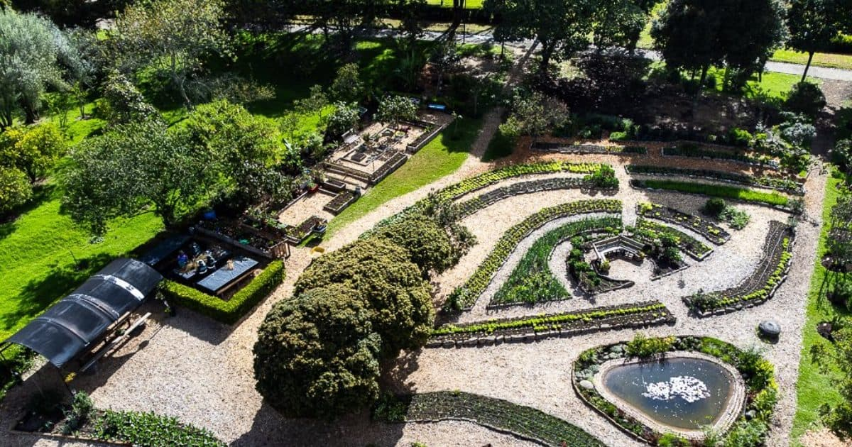 Video: Día Internacional contra el Cambio Climático Jardín Botánico de Bogotá