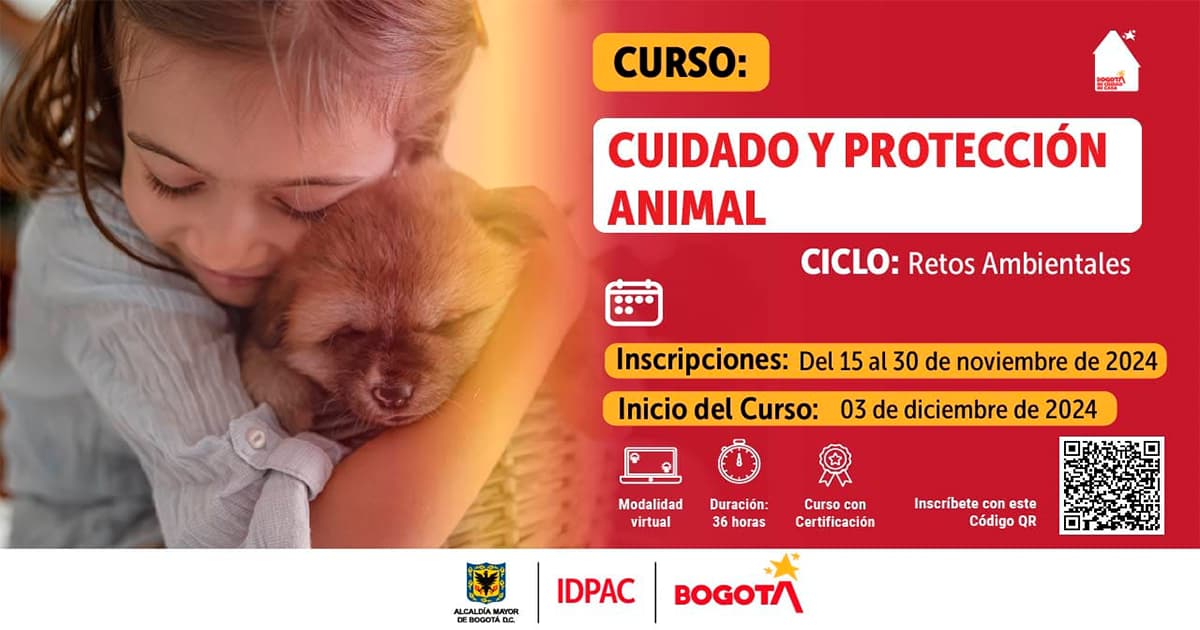 Cursos gratuitos en Bogotá inscríbete a escuela del IDPAC en noviembre