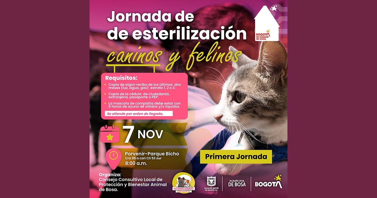 Jornada de esterilización de perros y gatos en Bogotá localidad Bosa