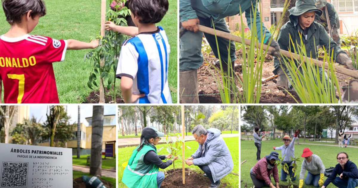 Día de la Bogotaneidad se vistió de verde con Jardín Botánico Bogotá