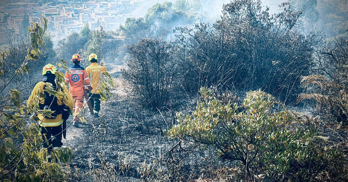 Ayúdanos a prevenir los incendios forestales en Bogotá 