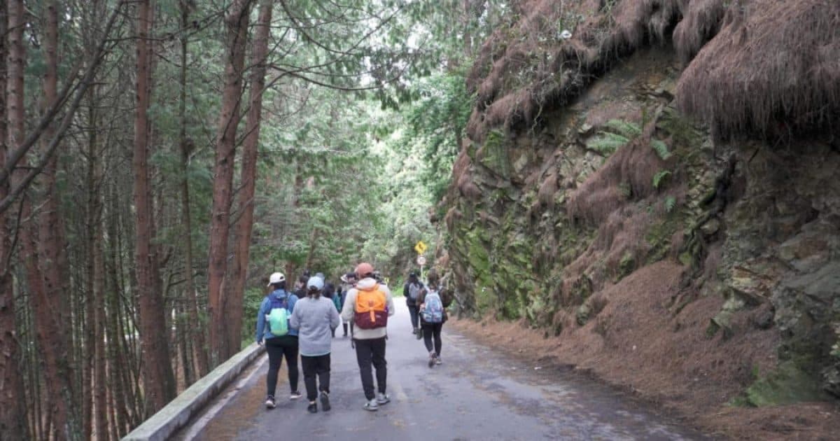 Caminatas Ecológicas de diciembre en Bogotá programación y más datos