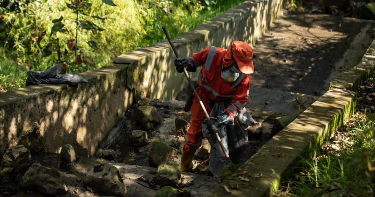 Quebrada Las Delicias de Bogotá: Distrito recuperó su sendero y aguas