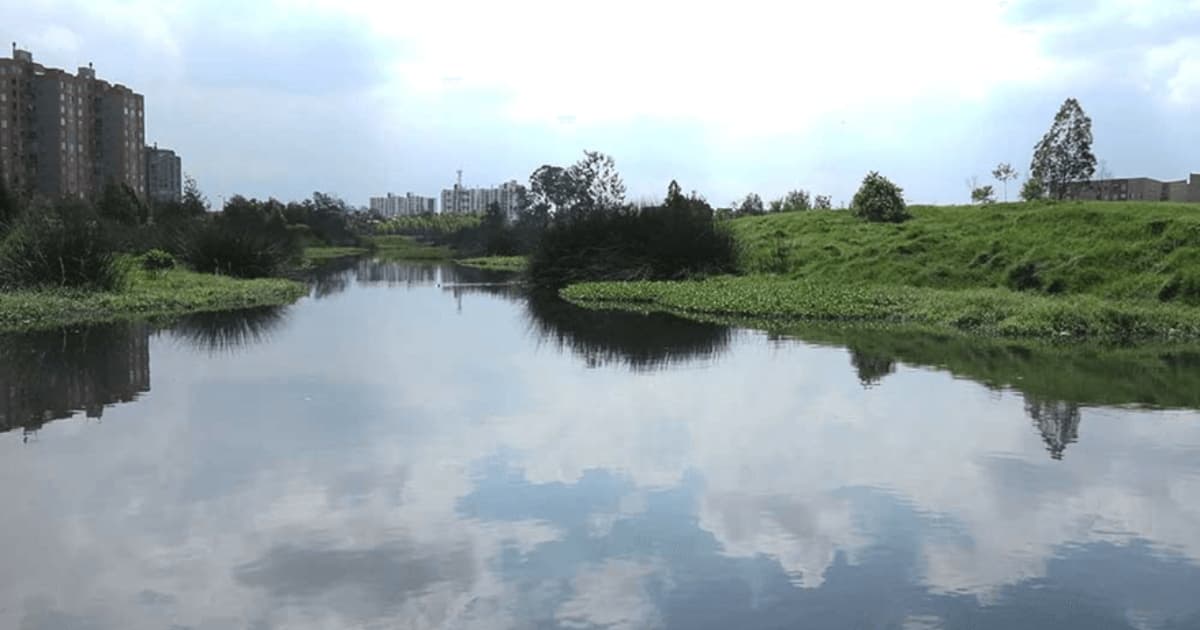 Humedales Bogotá guardianes naturales frente a la temporada de lluvias