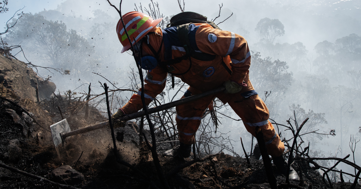 Cómo evitar incendios forestales en cerros y humedales en Bogotá 