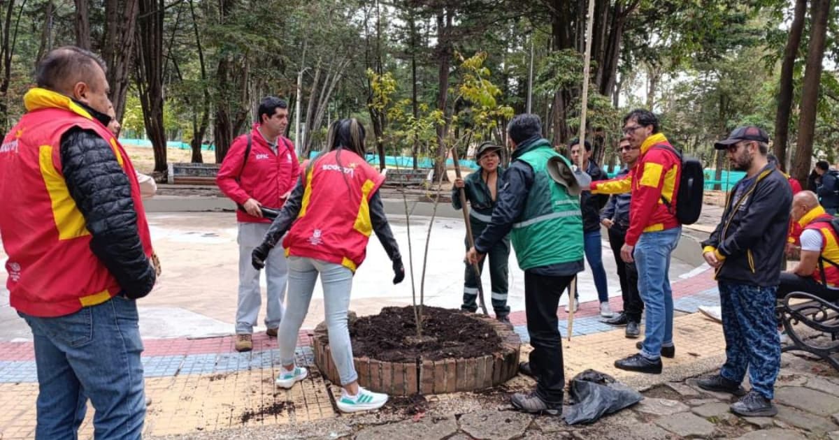 El Jardín Botánico lidera la arborización y mantenimiento en Bogotá