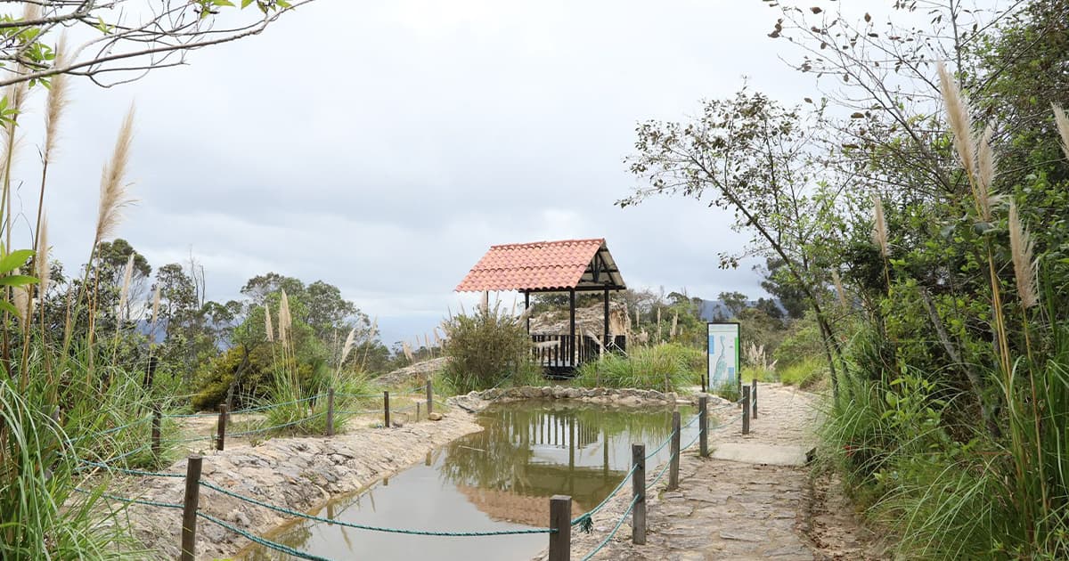 Distrito cierra los 8 Parques Ecológicos de Montaña y las 17 Reservas de Humedal