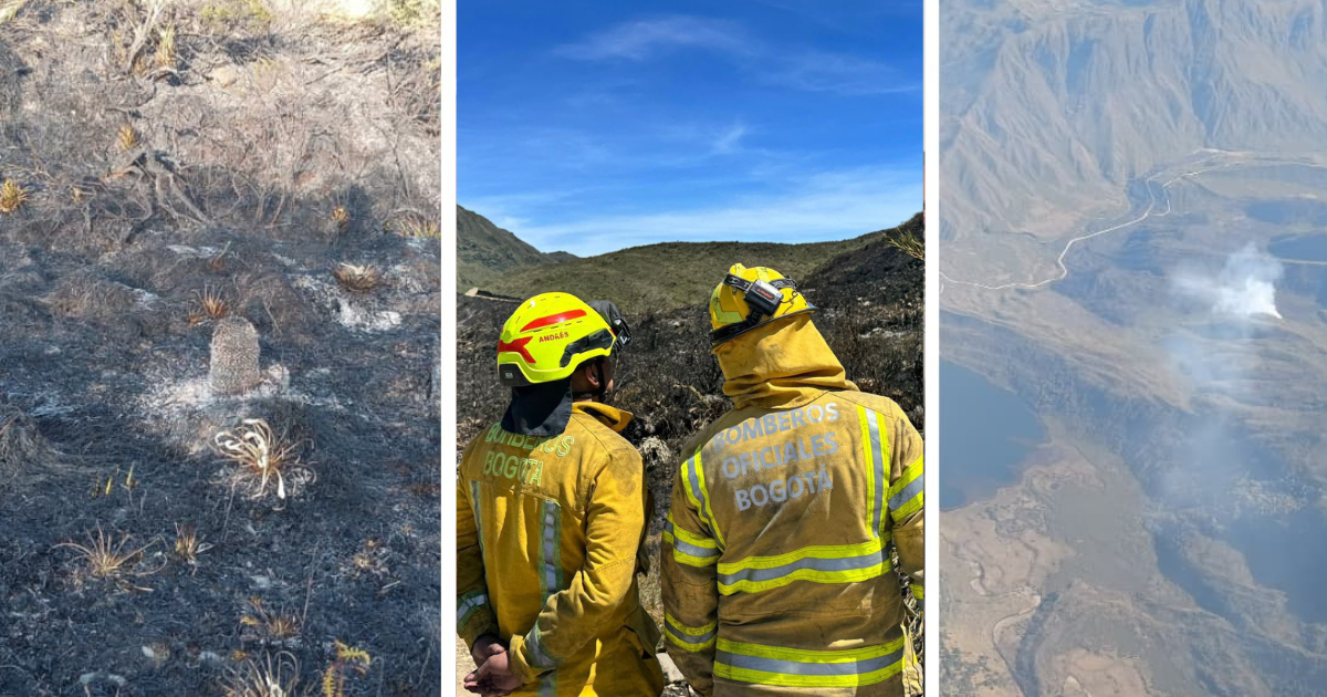 📸 Fotos: Incendio forestal en Parque Chingaza deja afectación en 147 hectáreas