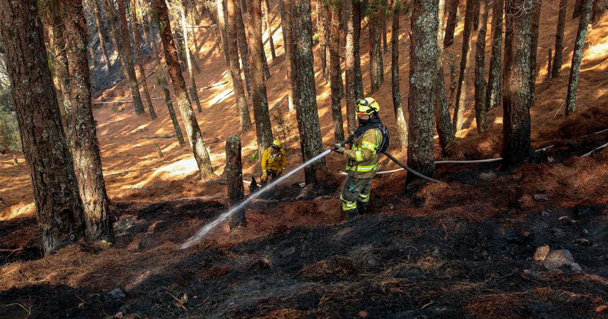 “El Niño nos alertó y nosotros nos preparamos para los incendios forestales”